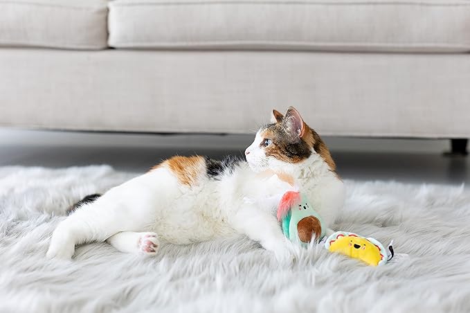Pearhead Taco Time Cat Toy Set, Crinkle and Feather Catnip Cat Toy Set, Cat Owner Playtime Pet Accessory, Pet Toys, Cat Teaser Toys, Cat Owner Pet Toy Sets, Must Have Pet Accessories for Pet Owners