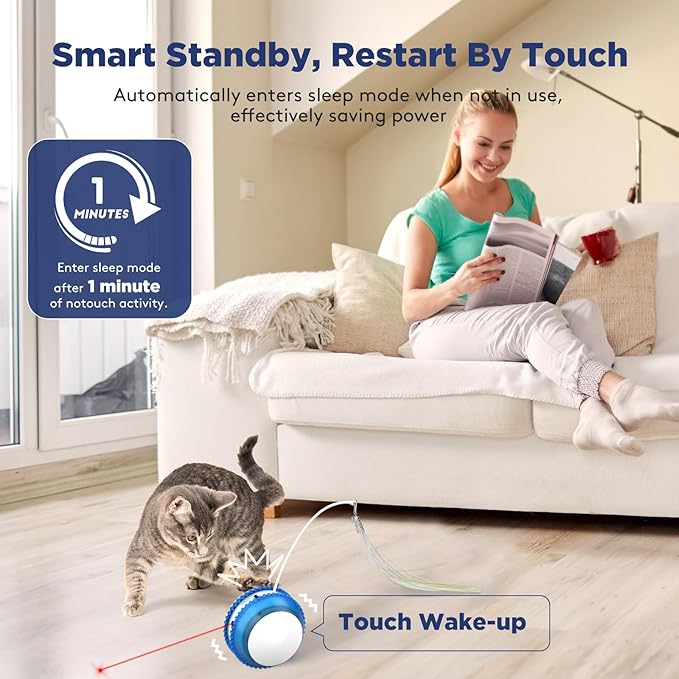 Cat Toys for Indoor Cats, Innovative Interactive Cat Toy Ball with Bird Chirping, USB Rechargeable Automatic Exercise Rolling Cat Toy for Bored Indoor Adult Cats Kittens, Blue/White