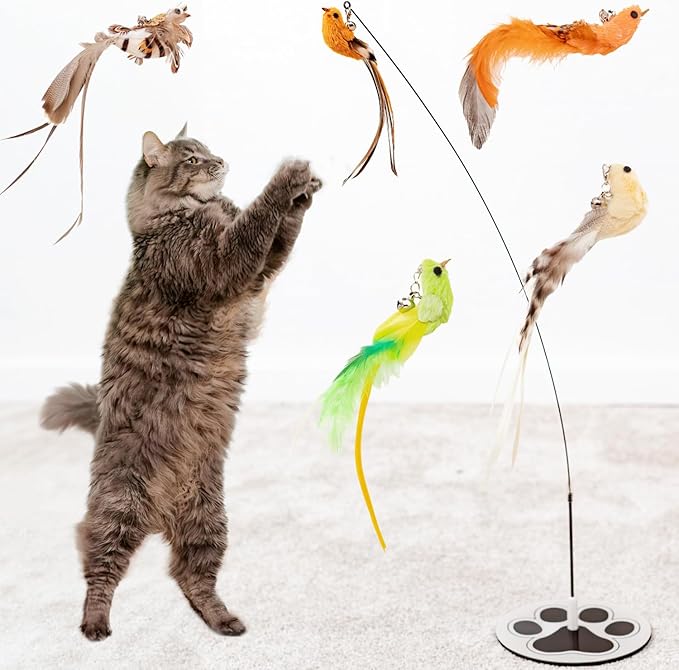 Cat Wand Toy Cat Toys for Bored Indoor Adult Cats Feather Cat Toy Wand 5 Pcs Natural Bird Feathers Stable Round Base Wand Cat Toys for Indoor Cats Hunting Toys for Cats