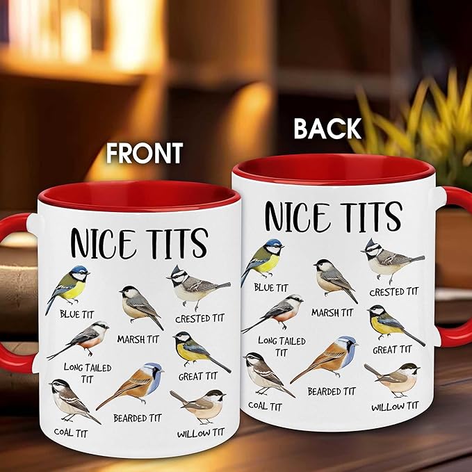 Bird Mug - Bird Gifts For Bird Lovers - Bird Watching Gifts - Fowl Language Bird Mug - Bird Coffee Mugs - Nice Bird Coffee Mug - Bird Themed Gifts - Bird Cup - Birthday Gag Gifts For Women, Men