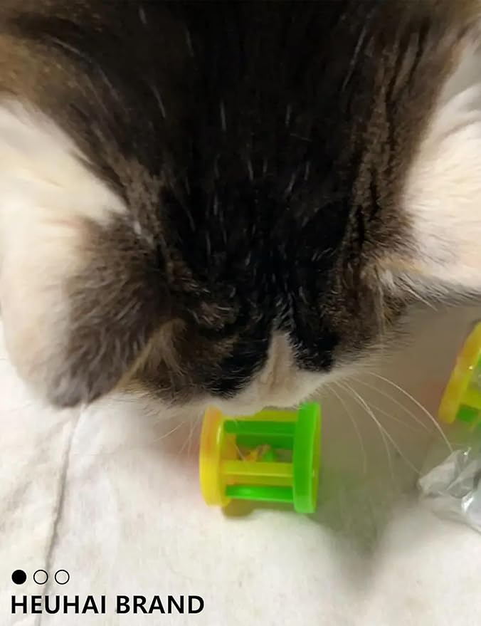 Cat Toys for Indoor Kittens Plastic Balls with Bells 10 Assorted Colors Ideal for Playtime Hunting Instinct Stimulation and Daily Exercise