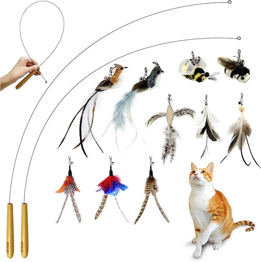 Interactive Bird and Insect Simulation Cat Toy Set with 10Pcs Feather Refills and 2Pcs Cat Wand Toy,29'' Flexible Steel Wire, Sturdy Wood Handle & Bell,Cat Wand Toys for Indoor Cat and Kitten.