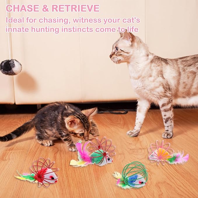 Cat Toys 4pcs, Interactive Cat Ball Toy with Mice Inside, Best Cat Toys for Bored Indoor Cats, Cat Stocking Stuffers, Cat Feather Toy, Catnip Ball, Spring Cat Toy, Cat Toys Ball for Kittens and Cats,