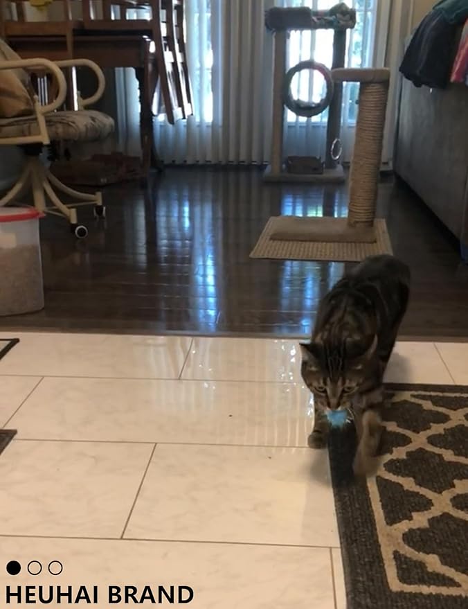 Kitten Toys, 31 Pcs Kitten Toy Pack for Indoor Kittens, Interactive Small Cat Toys to Keep Them Happy & Entertained