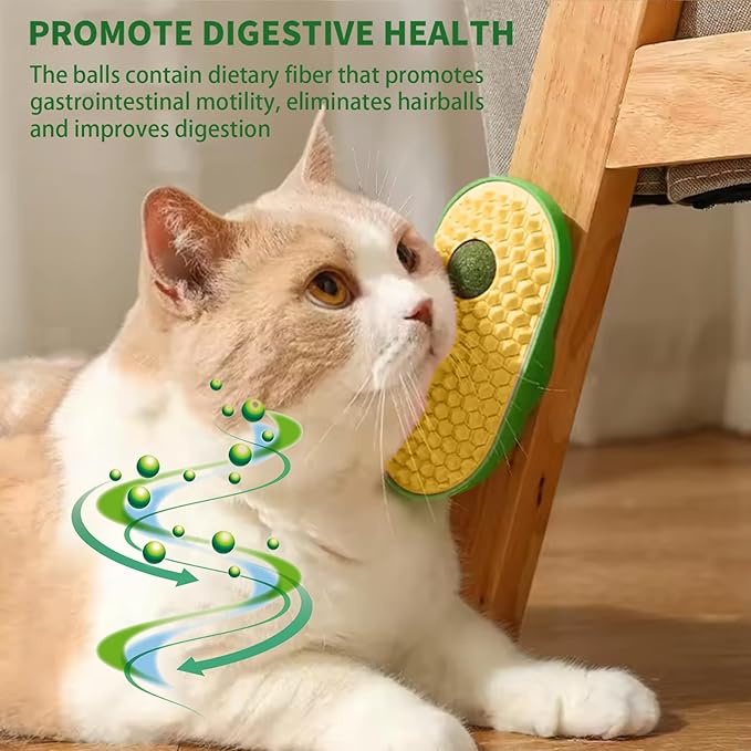 RZM 2 Pcs Catnip and Gall Fruit Ball Toys, Catnip Balls That Stick on Wall, Catnip Toys for Cats, Catnip Wall Balls for Cats Lick, Cat Self-Groomer and Face Scratcher for Indoor Cats, Cat Massage