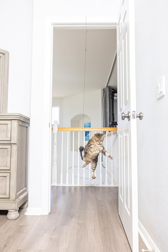 SPOT Ethical A-Door-Able Bouncing Mouse Cat Toy , Assorted Colors,Medium Breeds