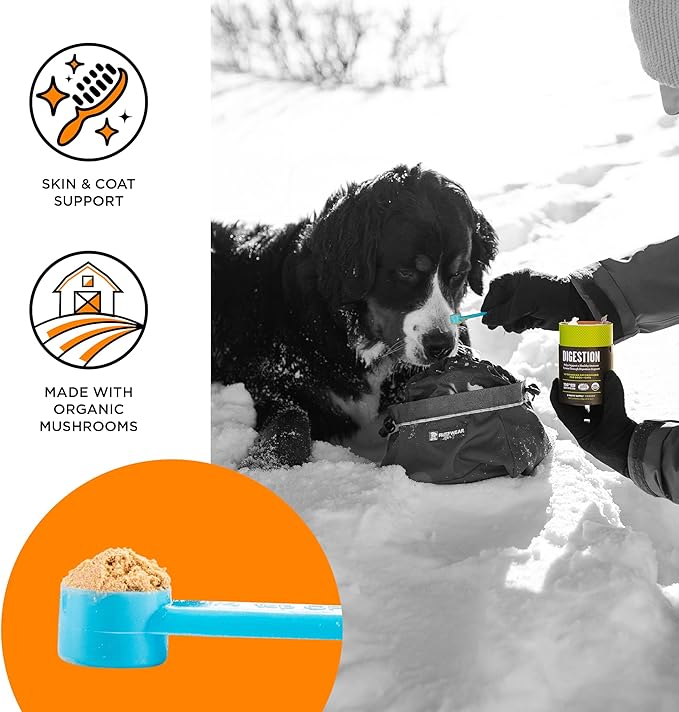 BIXBI Dog & Cat Skin & Coat Support, 2.12 oz (60 g) - All Natural Organic Pet Superfood - Daily Mushroom Powder Supplement - USA Grown & USA Made - Veterinarian Recommended for Dogs & Cats