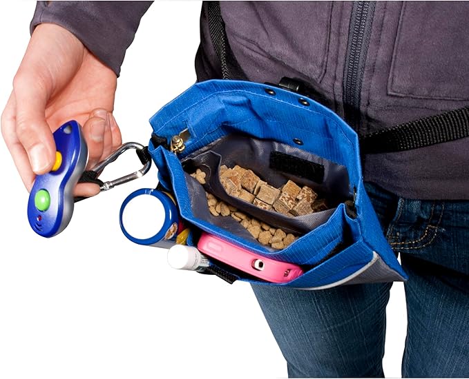 PetSafe Treat Pouch Sport- Durable, Convenient Dog Training Accessory, Standard, Red