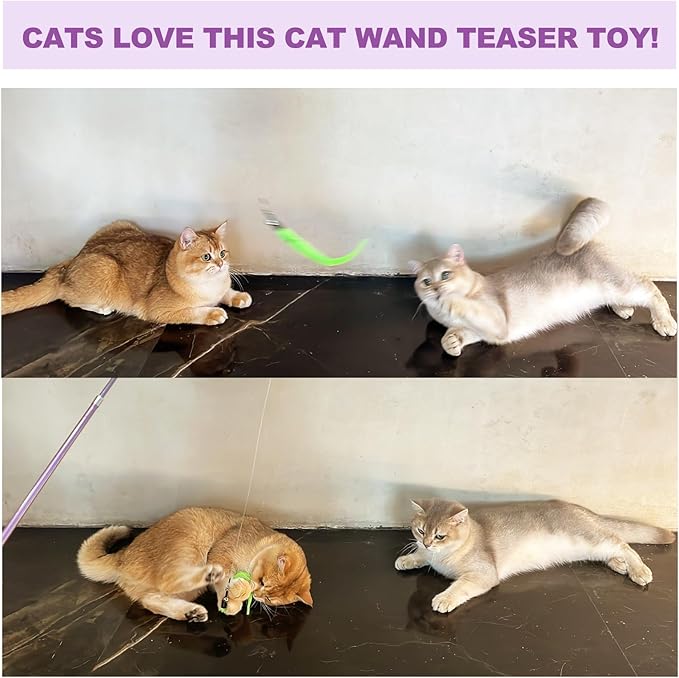 11PCS Cat Wand Toy, Cat Toys Interactive for Indoor Cats, 2 Retractable Cat Wand, 7 Worm Cat Teaser Toys and 1 Plush Fish Cat Toy, Cat Feather Toys for Play Chase Exercise with Kitten, Extra 1 Line