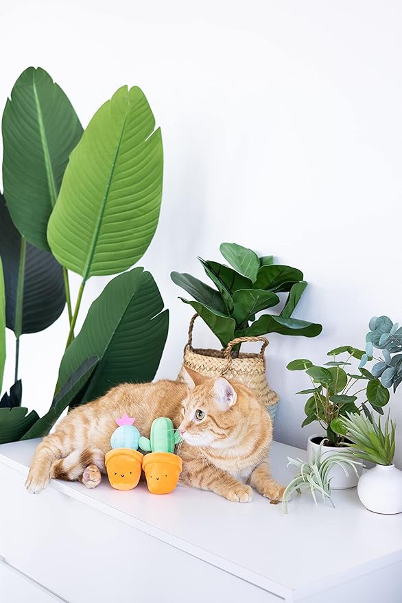 pearhead Prickly Plants Cat Toy Set, Cute Catnip Toys, Plush Cactus Interactive Chew Toys, Pet Owner Must Have Catnip Toys, Set of 2 Plush Toys