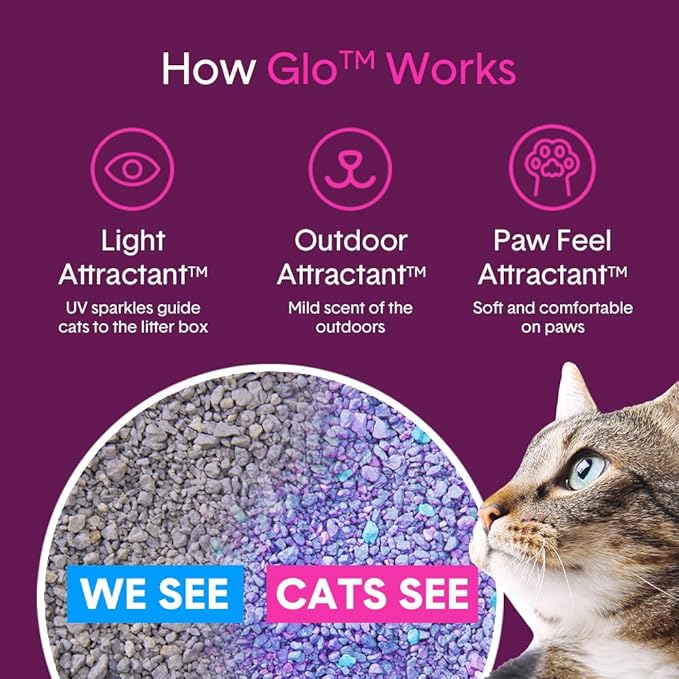 Boxie® Glo™ Natural Attractions 30 Day Odor Control Clumping Corn Cat Litter, 16.5 lb, 99.9% Dust-Free, Plant-Based, Lightweight, Strong Clumping, UV Light Attractant for Litter Box Use