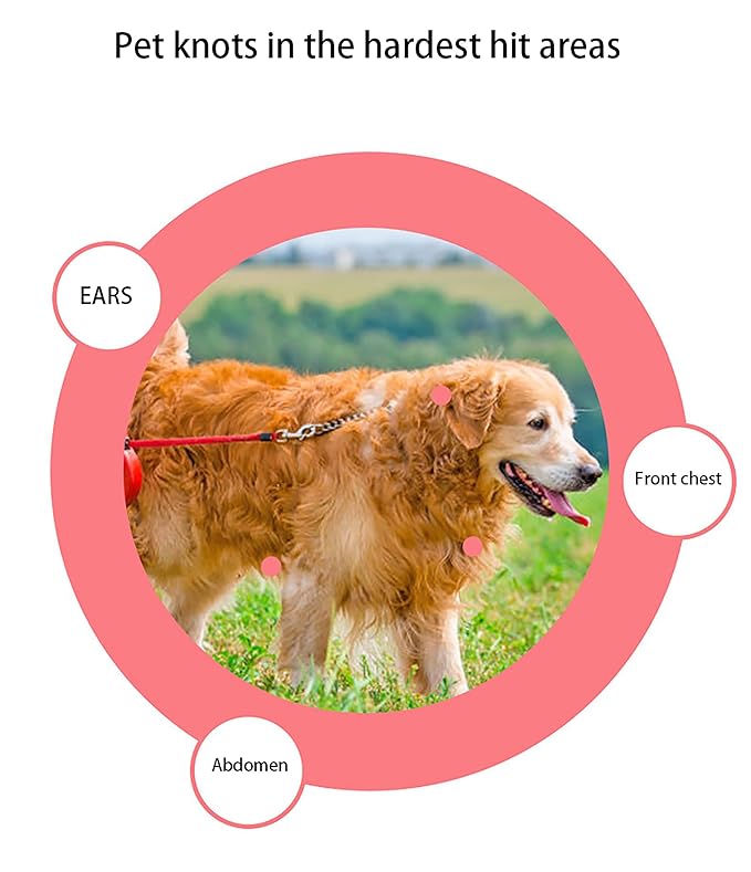 Dog Brush for Shedding, Pet Grooming Brush, Cat Deshedding Brush Tool, Double Sided Shedding and Dematting Undercoat Rake Comb for Dogs & Cats (big, BLUE)