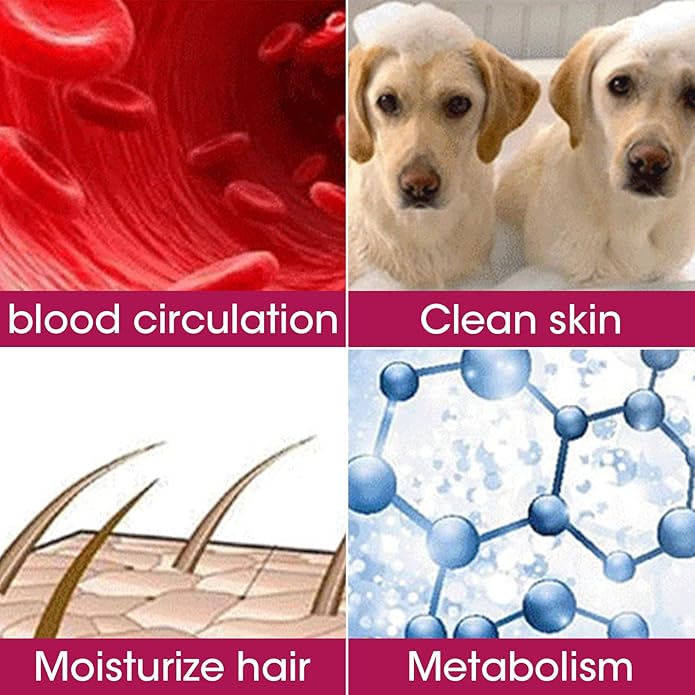 Dog Comb By MEKBOK - Grooms Cats As Well - For Medium to Thick Coats - 8 Inch Length - Rounded Spine - Grooming Tool for Mats and Shedding