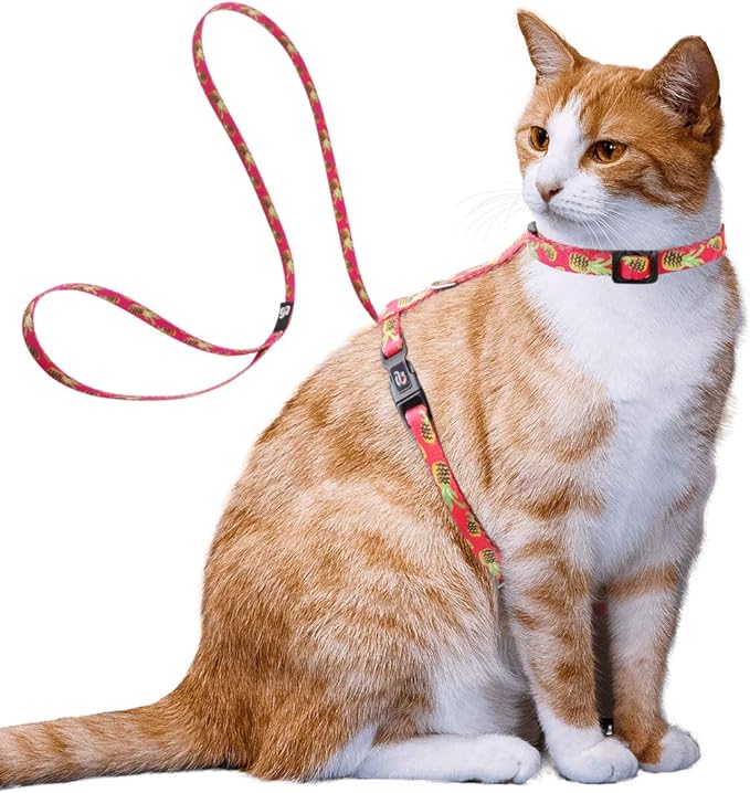 azuza Cat Harness and Leash Set for Safe Walking and Travel, Escape Proof Cat Harness, Lightweight Soft and Comfortable, Adjustable Kitten Harness for Small Medium Large Cats, Pineapple