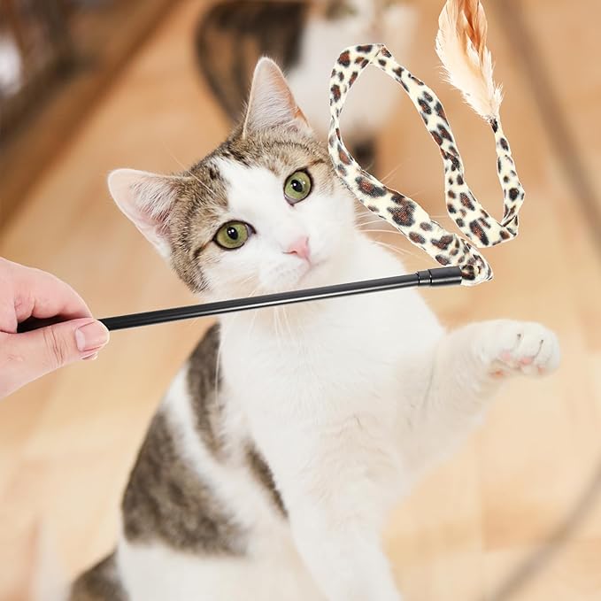 balacoo 15 Pcs Cat Teaser Wand : Portable Cat Teaser Toy Cat Chasing Toy Kitten Puzzle Kitten Wand Tease Stick Handheld for Indoor Cats, Engaging Play for Bored Cats