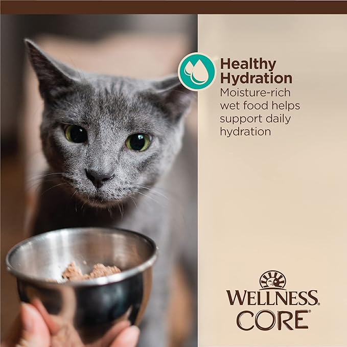 Wellness CORE Tiny Tasters Wet Cat Food, Complete & Balanced Natural Pet Food, Made with Real Meat, 1.75-Ounce Pouch, 12 Pack (Adult Cat, Flaked Tuna & Salmon in Gravy)