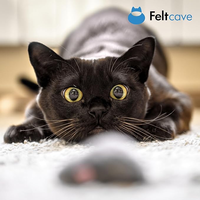 Wool Cat Mouse Toys – 4-Pack Handmade Felt Mice Without Catnip for Indoor Cats, Unique Cat Toys for Hours of Engaging Playtime Fun