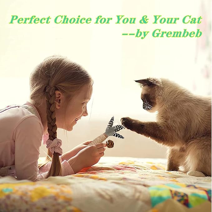 Cat Toys,3 Pack Silvervine Cat Feather Toy Kitten Chew Stick Catnip Treat with Bell for Cleaning Teeth Indoor Kitty Teaser Wand Molar Snack Interactive Pet Rabbit Bunny Hamster