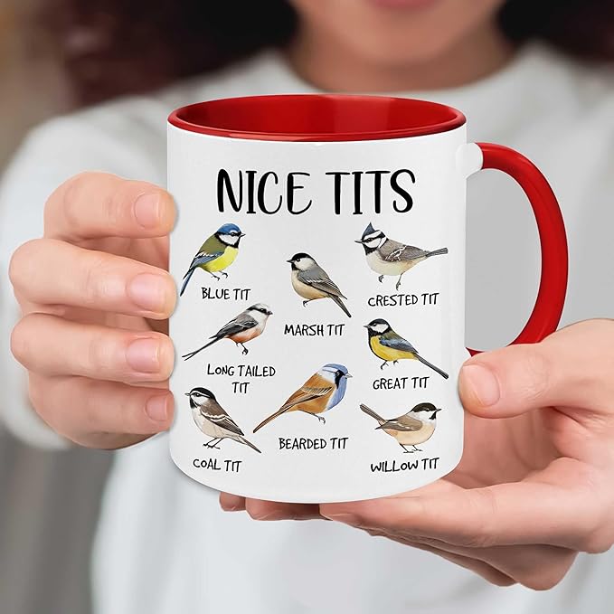 Bird Mug - Bird Gifts For Bird Lovers - Bird Watching Gifts - Fowl Language Bird Mug - Bird Coffee Mugs - Nice Bird Coffee Mug - Bird Themed Gifts - Bird Cup - Birthday Gag Gifts For Women, Men