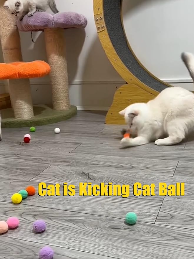 Interactive Cat Toys Variety Pack 20-Piece Cat Enrichment Toys for All Ages Spring Toys Bell Balls & Plush Toys to Stimulate Bored Indoor Cats