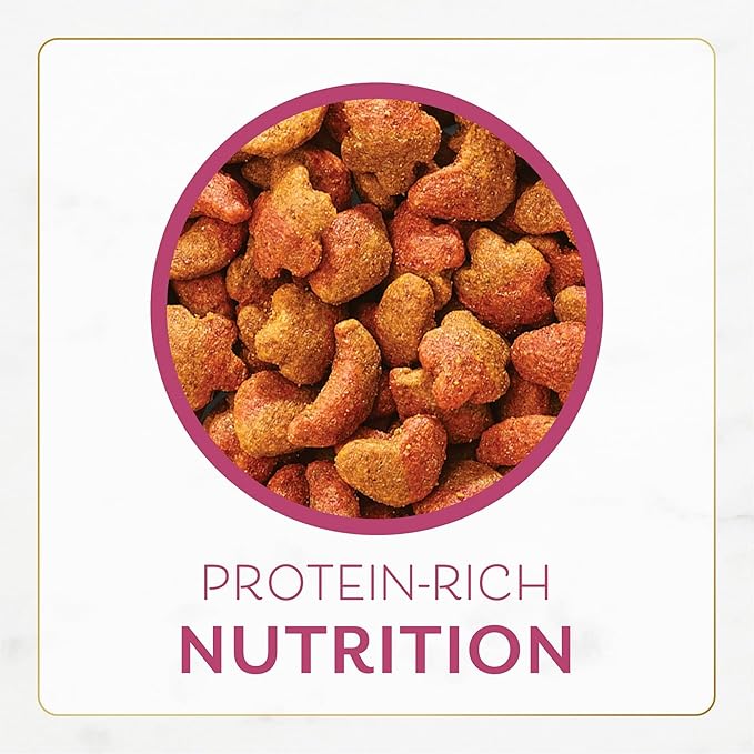 Dry Cat Food Filet Mignon Flavor with Seafood and Shrimp, Lightly Cooked and Basted to A Delicious, Delicately Crunchy Finish