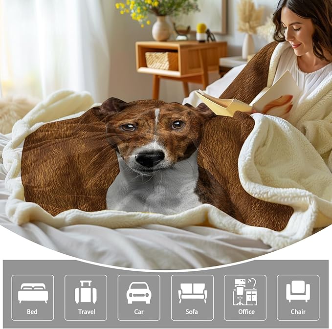BlessLiving Basenji Throw Soft Blanket Sherpa Fleece Lined Blanket Pet and Dog Lovers Home Throw Blankets (Throw, 50 x 60 Inches)