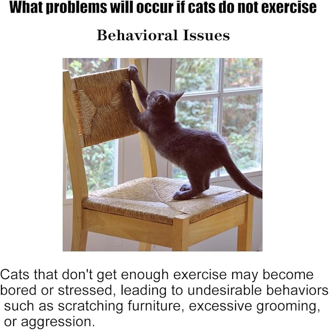 Interactive Cat Toy for Indoor Adult Cats, Cat Ball Track Tower, Feather Toys for Indoor Cats,Mouse cat Toys (Blue)