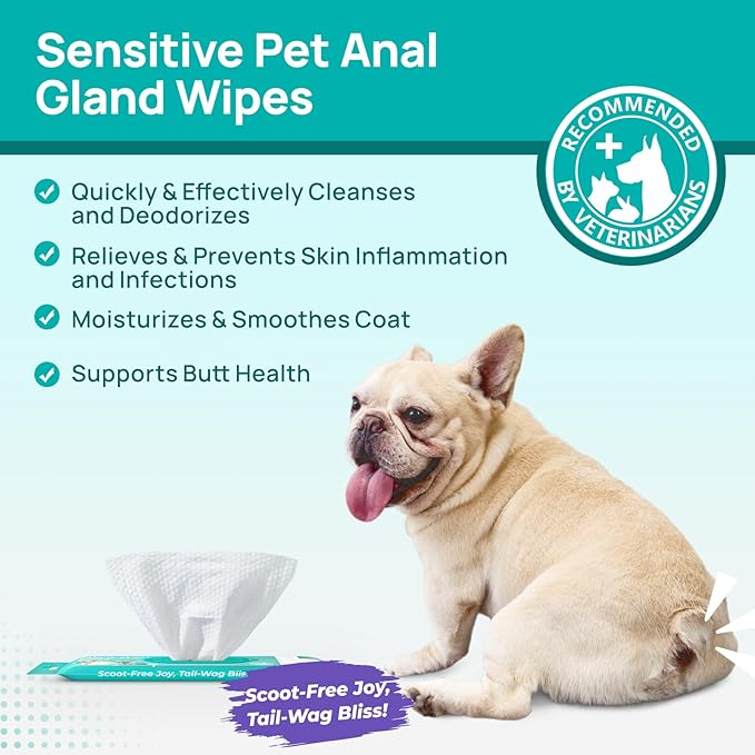 HICC PET Wipes for Dogs & Cats, Cleansing Deodorizing & Soothing Allergy Infections Anal Gland Pets Wipes with Coconut Oil - Dog Grooming Wipes for Butt and Paw - Hypoallergenic & Vet Recommended