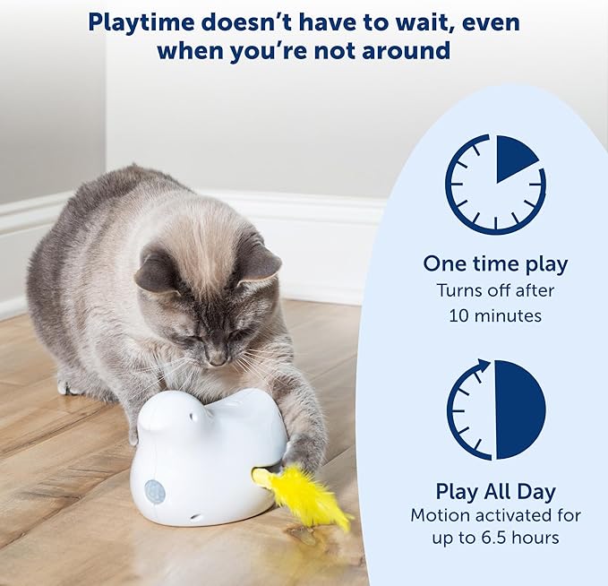 PetSafe Electronic Cat Toys – Automatic Cheese and Peek-A-Bird – Hide and Seek Teaser Toy – Interactive Bird and Mouse Hunt – Play While You are Away