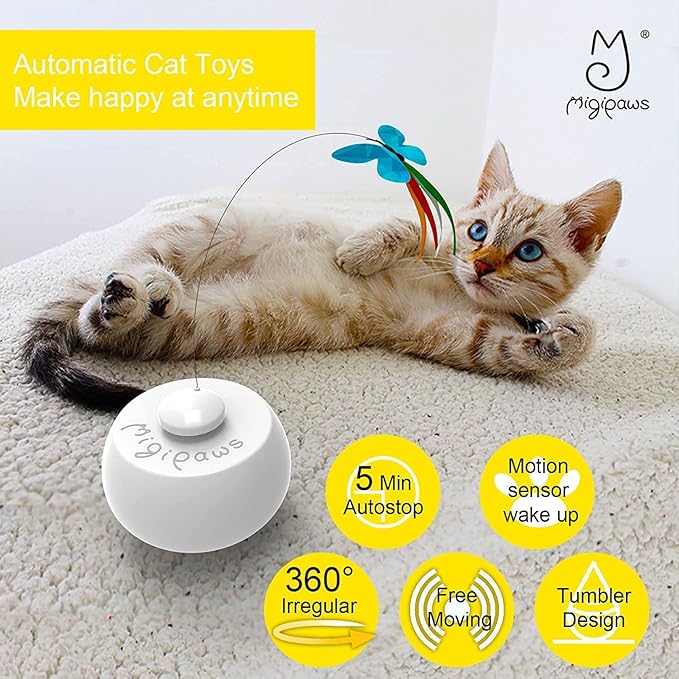 Migipaws Cat Toys Interactive Butterfly Feather Mice Spin with Smart Rolling Ball for Indoor Kittens Self Play Automatic Sensing Kitty Teaser Wand 3 Refills