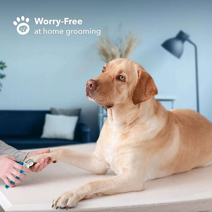 BOSHEL Dog Nail Clippers - Dog Nail Trimmers for Large Dog with Quick Sensor - Pet Nail Clippers for Dogs - Heavy Duty Pet Nail Trimmer with Safety Guard and Dog Nail File for Safe at Home Grooming