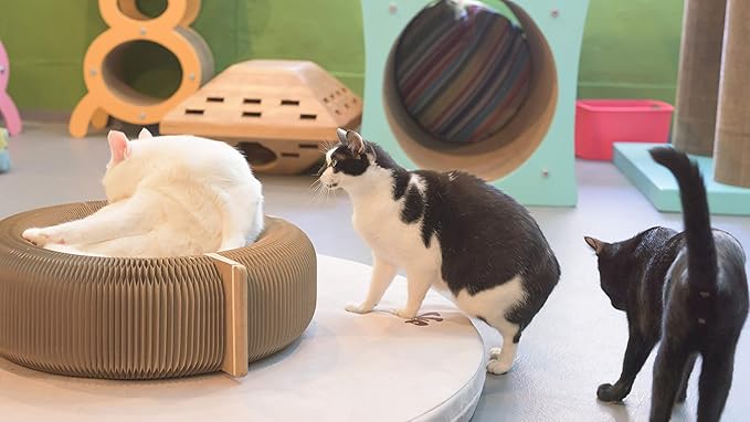 Elegant Home Fashions Cat Donut Bed Recycle Cardboard, Brown, 22.8"x 6.7" (DJ-CBD01001)