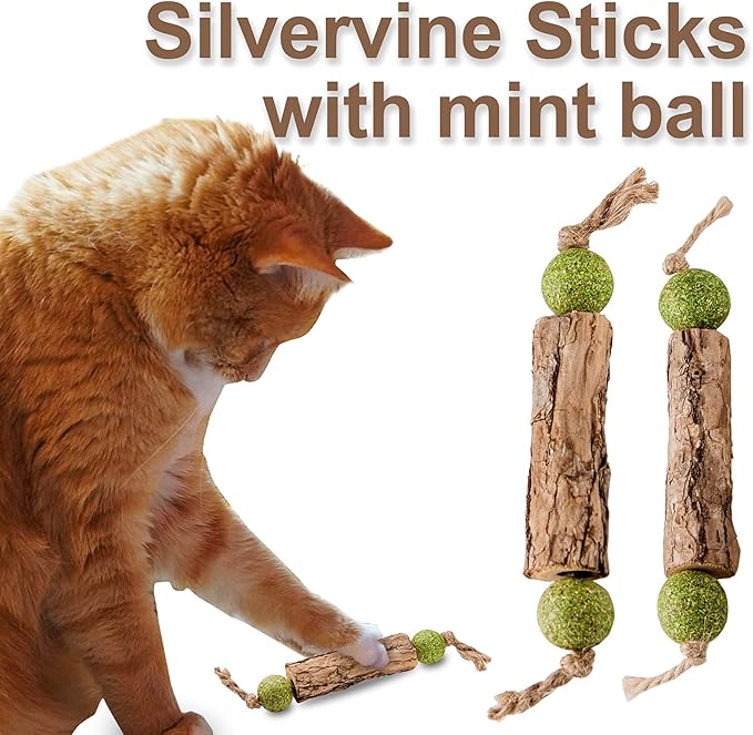 Silvervine Sticks Catnip Toys for Cats, 5 Pack, Interactive Indoor Cat Toy for Teeth Cleaning, Natural Matatabi Chew Treat for Aggressive Chewers