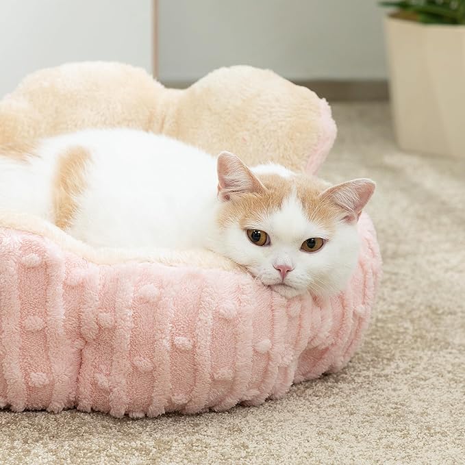 Hollypet Calming Cat Beds for Indoor Cats - Cute Cactus Pet Beds, Fluffy Puppy Bed, Non-Slip Extra Small Dog Bed, Pink