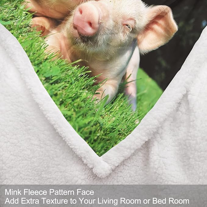 Pink Pigs Sherpa Blanket, Cute Piggy Fleece Throw Blankets for Couch Sofa Bed, Super Soft Warm and Lightweight, 60" x 80"