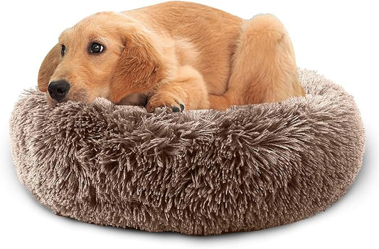 Dog Bed Comfiest Indoor Calming Waterproof Bedding Washable Fluffy Chew Proof Self Warming Cozy for Small Pets at Home