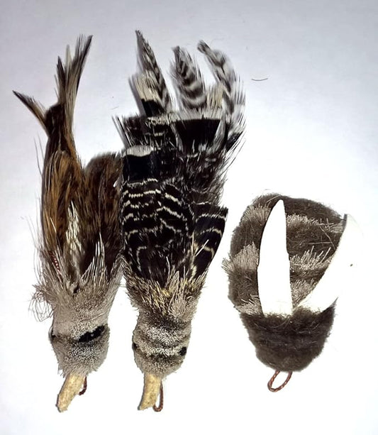 Bird and Bee Pack Refill/Attachment (Finch, Gila and Bee) - Fits Wildcat and Popular Bird and Mouse Type Wands/Poles