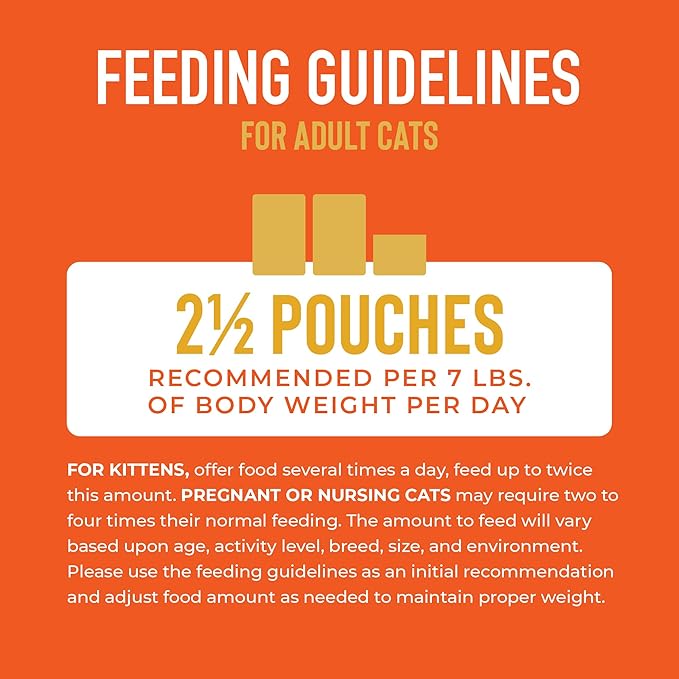 Tiki Cat Aloha Friends, Chicken & Pumpkin, Grain-Free & High Moisture, Wet Cat Food for All Life Stages 2.5 oz. Pouch (Pack of 12)