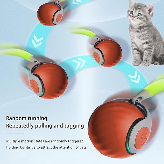 Interactive Cat Toy Ball, Automatic Moving Cat Ball Toy with Feather Tail, Indoor Smart Cat Toys, Motorised Cat Toys for Chasing & Hunting