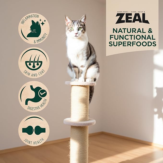ZEAL Canada Air-Dried Chicken Recipe for Cats - High Protein, Natural Superfoods, Nutrient Rich, No Fillers, Grain Free, Complete & Balanced (Chicken, 14.1 oz)