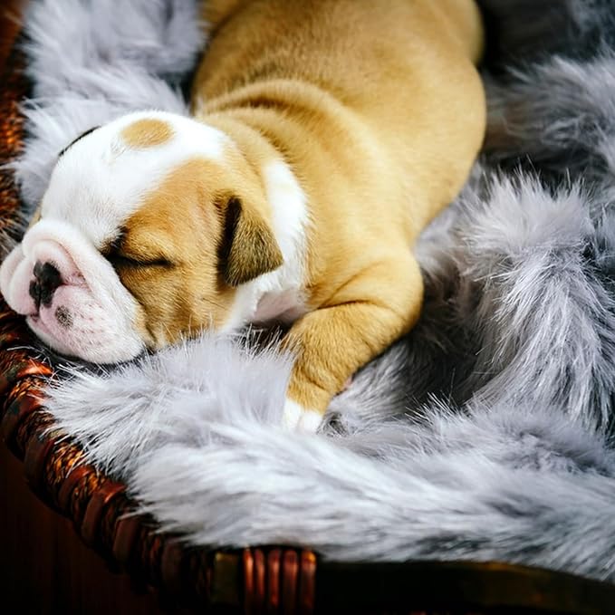 Fluffy Pet Dog Cat Bed Mat Rug, Washable Super Soft Plush Faux Fur Warm Area Mat Pad for Indoor Pet Cat Dog Small Sleep Cushion