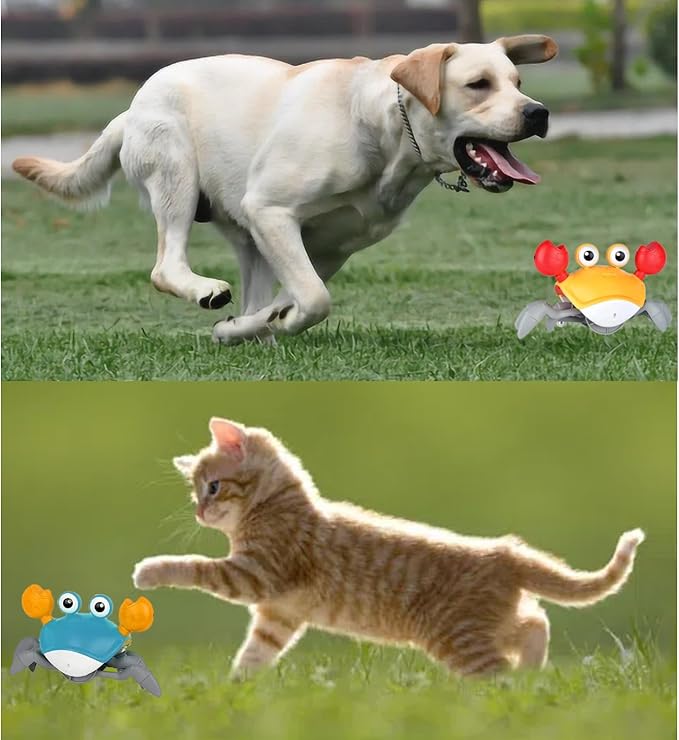 Crawling Crab Dog Cat Toys, Escaping Crab Dogs Cats Toy with Obstacle Avoidance Sensor Interactive Pet Toys with Music Sounds & Lights for Dogs Cats Dancing Crab Toys Gifts for Puppy Small Medium