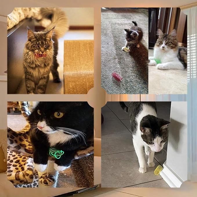 BenePoint Cat Spring Toys, Interactive Cat Toy for Swatting, Hunting,and Grinding Teeth, Durable Cat Springs for Indoor Cats to Promote Agility& Keep Fit, Plastic Cat Coil(8pcs)