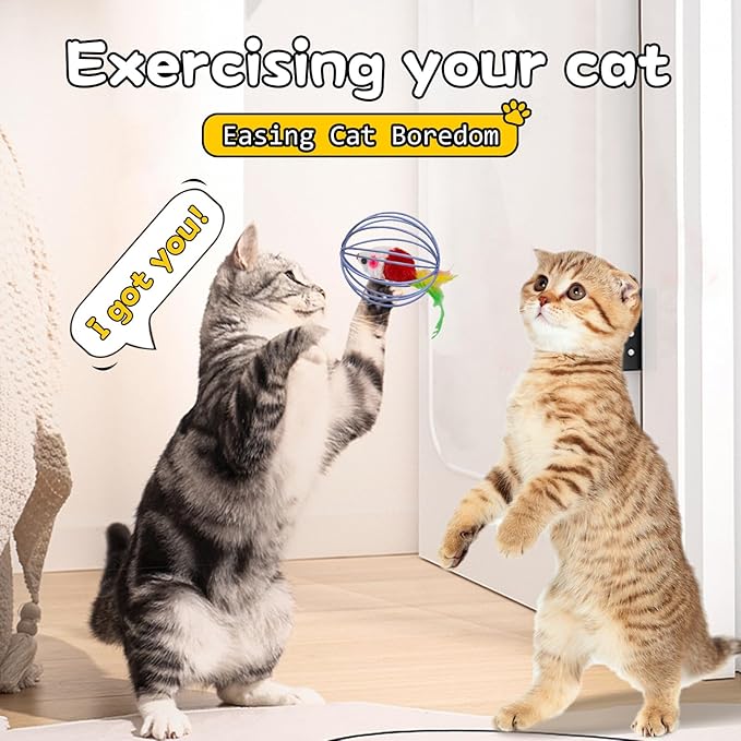 Cat Interactive Toys, Metal Cage with Colourful Plush Mouse Toys, Kitten Teething Toys, Cat Chew Toys, Cat Indoor Exercise Toys Ball, 1PCS Random Color