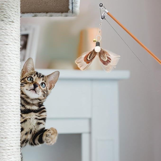 FRCOLOR 6pcs Replacement Head for Cat Teaser Toy, Cat Fishing Pole Toy Attachment Interactive Cat Toy Cat Teaser Toy Feathers Cat Toys