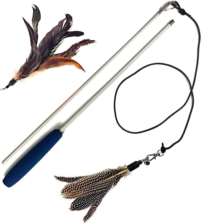 Pet Fit For Life 2 Feather Teaser and Exerciser for Cat and Kitten - Cat Toy Interactive Cat Wand