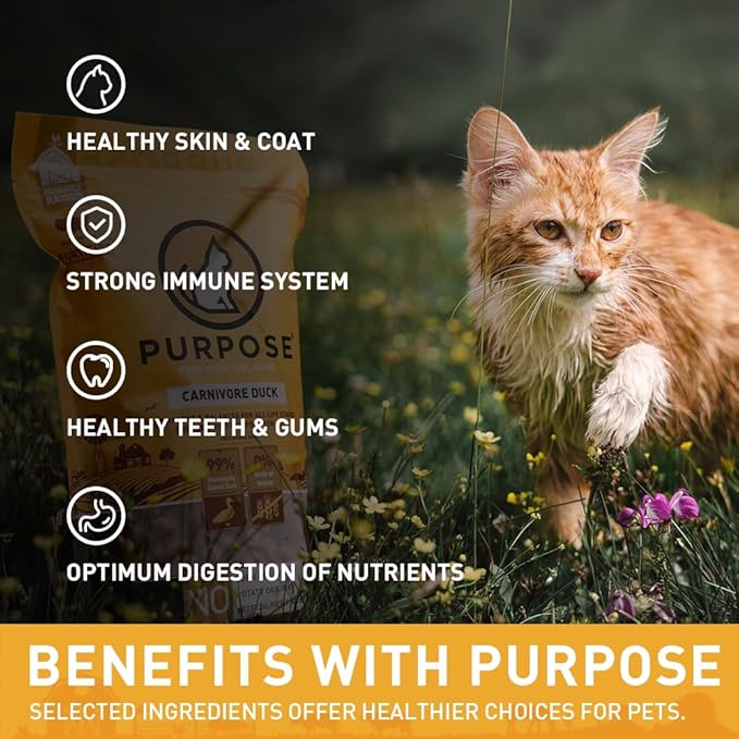 PURPOSE Freeze Dried Raw Cat Food, Grain Free Dry Cat Food, Complete Balanced Meal or Topper, Protein Rich Cat Food for All Breeds and Life Stages, Pure Duck Recipe Mini Nibs Entrée, 9 oz, USA Made