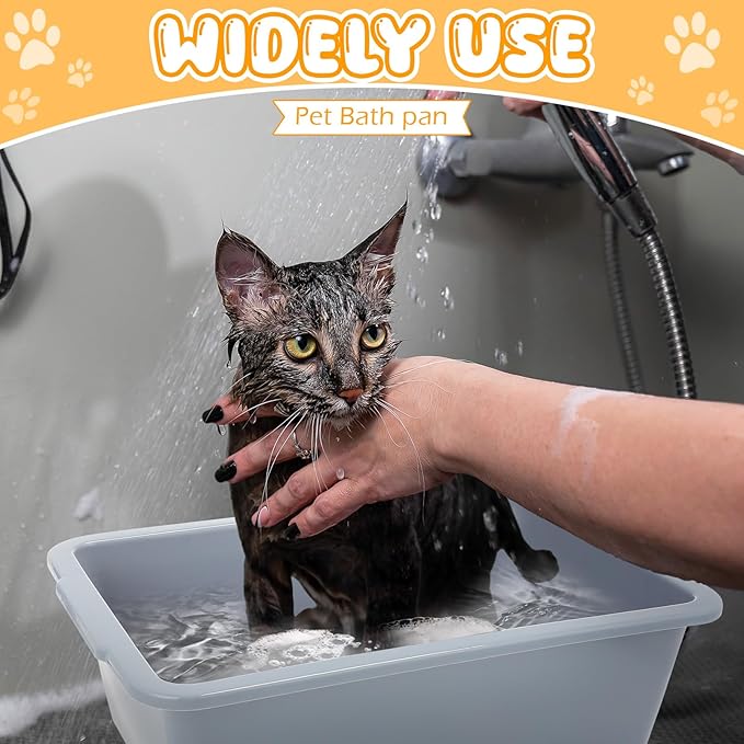 3 Pcs Small Kitten Litter Box Cat Litter Pan Plastic Open Cat Litter Box Waterproof Travel Toilet for Pet Cattery Small Medium Size Cats Puppies, Gray