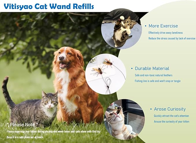 Cat Insect Feather Toys Replacement - 2 Pcs Handmade Natural Flies - Cat Toy Wand Refills - Interactive Kitten Teaser Wand Attachments - Cat Toys for Indoor Cats Play