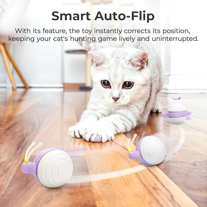 Cheerble Smart Interactive Cat Toy for Indoor Cats Kitten, [2024 Upgraded] Wicked Snail, Kitten Toys, Automatic Cat Toy with LED Lights, DC Rechargeable Moving Cat Toy, Smart Sensing Electric Cat Toy